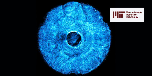 MIT Engineers Create Artificial Muscles That Flex in Multiple Directions