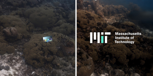 MIT SeaSplat: AI Tool Helping Scientists See Coral Reefs Clearly